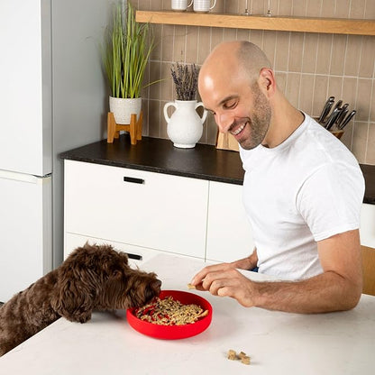 Should We Go? Slow Feeder for Dogs & Puppies, The Slowdown Bowl Silicone Slow Eating, Modern Lick Mat Design, Reduces Gulping, Fits 2 Cups, 7.5” Across x 1.5” Tall, Mealtime Challenge, Medium-Cherry