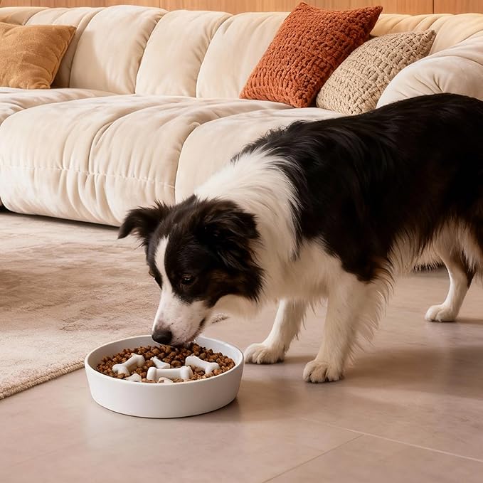 Ceramic Slow Feeder Dog Bowls, Ceramic Slow Feeder Maze Dog Food Bowl, Slow Eating Dog Bowl and Slow Feeder Dog Bowl Anti-Choking for Daily Pet Feeding （White Bone）
