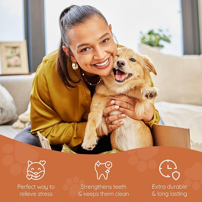 Wildfang® Briar Wood Chewing Root, Medium - Splinter Free Wood Dog Chew Toys for Aggressive Chewer, Odorless Natural Teething Toys Dogs Dental Health, Healthy Gums (for Dogs 33-55 lbs), Pack of 3