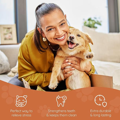 Wildfang® Briar Wood Chewing Root, Medium - Splinter Free Wood Dog Chew Toys for Aggressive Chewer, Odorless Natural Teething Toys Dogs Dental Health, Healthy Gums (for Dogs 33-55 lbs), Pack of 1