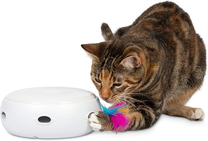 PetFusion Ambush Interactive Cat Toys for Indoor/Outdoor Activity - New & Improved Cat Feather Toys Replacement Feathers Available