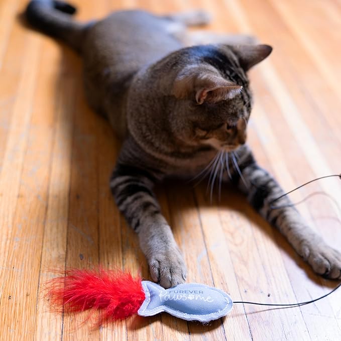 Pavilion - Furever Pawsome - Canvas Fish Stretchy String Feather Wand Teaser Interactive Indoor Chase Exercise Handle Play Stick Kitty Kitten Feline Cat Toy
