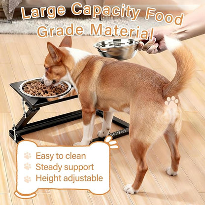 Elevated Dog Bowls, Adjustable Raised Dog Bowl Stand with 2 Stainless Steel Food Bowls 20°Tilted Water Bowls for Medium Small Sized Dogs (Black, Medium)