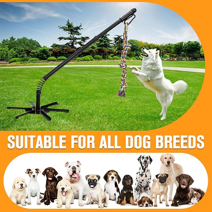 Tether Tug Outdoor Dog Toy, Outdoor Interactive Dog Tug for for Large Medium Small Dogs, Interactive Tether Rope Tug of War Game with 2 Ropes and Bell for Exercise and Play in Yard or Park