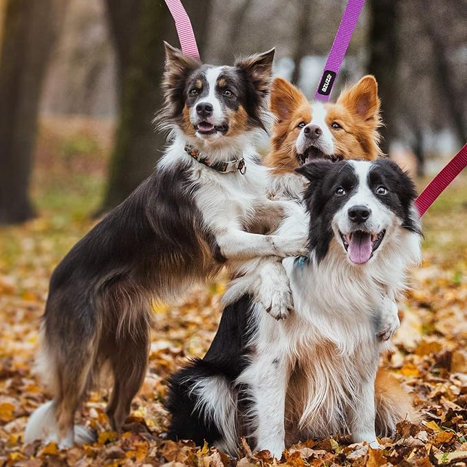 azuza 3 Pack Nylon Dog Leashes,Strong & Durable Basic Style Leash with Easy to Use Collar Hook,Available in Multiple Lengths for Puppy Small Dogs, Hot Pink/Pink/Purple