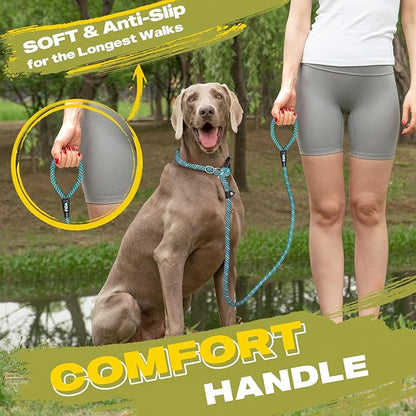 Fida Durable Slip Lead Dog Leash, 6 FT x 1/2" Heavy Duty Loop Comfortable Strong Rope Lead for Large, Medium Dogs, No Pull Pet Training with Highly Reflective, Blue (Pack of 2)