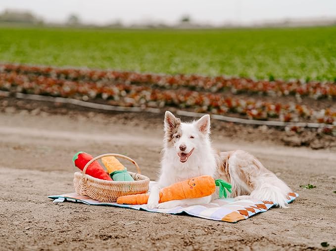 ZippyPaws Jigglerz - Dog Squeaky Toys to Keep Them Busy, Funny Food Plush for Small, Medium, & Large Dogs, Cute Stuffed Puppy Toy, Pet Products, Gift for All Breeds, Interactive Squeaker - Pepper