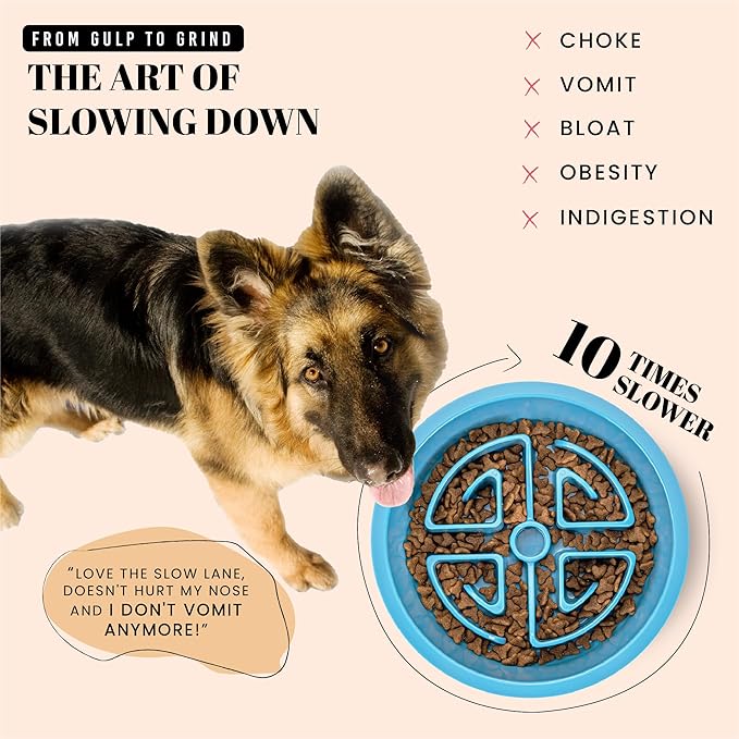 AVERYDAY Slow Feeder Dog Bowls for Large Breeds Fits Raised Feeding Station, Puzzle Dog Food Bowls to Slow Down Eating, Dogs Feeding Bowl with Non-Slip, Slows Feeder Pet Bowl for Wet and Dry Food