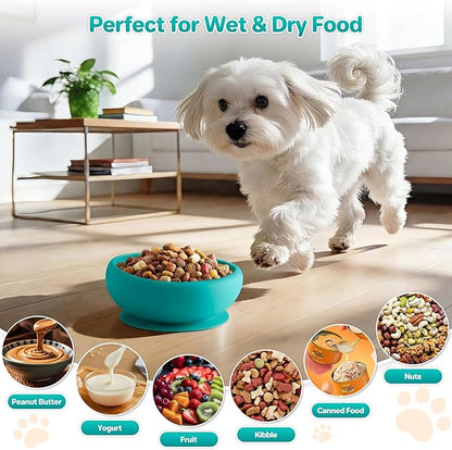 Dog Lick Bowl Slow Feeder with Slanted Anti-Spill Design, Extra-Thick Bite-Resistant Rim, Strong Suction Base, Freezer Safe for Frozen Treats — A Cleaner Alternative to Lick Mats for Dogs (Teal)