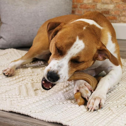 Nylabone Gourmet Style Wishbone Strong Chew Toy for Dogs, Bacon Flavor, Large - Up to 50 lbs, 1 Count
