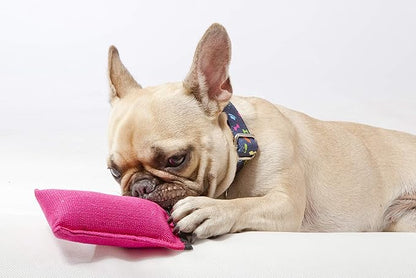 Dingo Cotton tug Toy with Handle, for Catch Retrieving and tug of war, Dog bite Pillow Floating on The Water, Four Colours, S Z30001