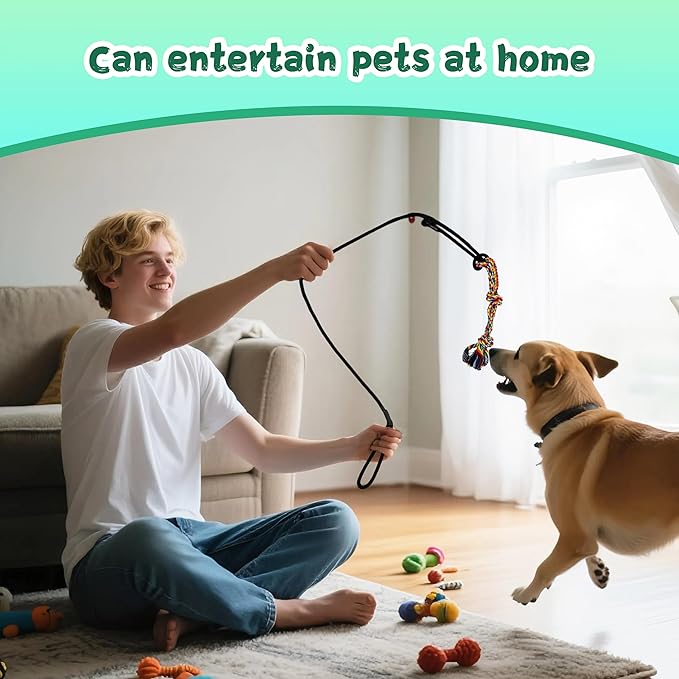 Retractable Flirt Pole for Dogs with Tug Toy Ropes, Lightweight Interactive Pet Training Pole for Small to Medium Dogs (Black)