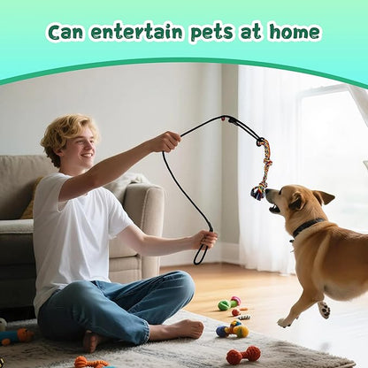 Retractable Flirt Pole for Dogs with Tug Toy Ropes, Lightweight Interactive Pet Training Pole for Small to Medium Dogs (Black)
