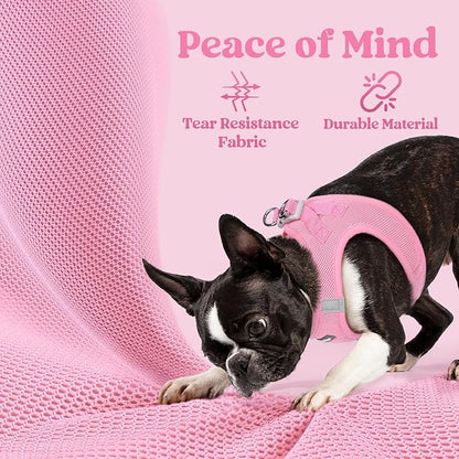 rabbitgoo Small Dog Harness, Step-in Soft Mesh Puppy Vest with Safety Buckle, Breathable Reflective Pet Harness for Small Sized Dogs, Light Pink XS