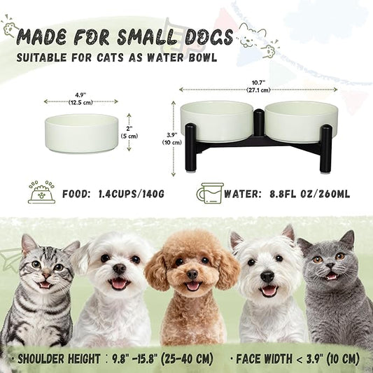 Elevated Ceramic Dog Bowl Set - Cute Double Dishes with Stainless Steel Stand – Raised Feeding Bowls for Cats and Small Dogs - Food & Water Set - 5" / 1.4 Cups (140 g / 260 ml) - Green