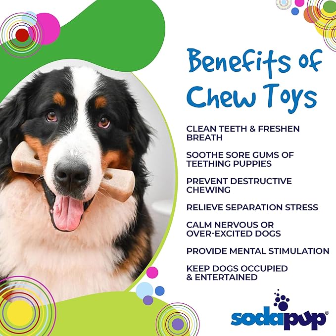 SodaPup Mod Bone – Durable Dog Chew Toy and Treat Dispenser Made in USA from Non-Toxic, Pet Safe, Food Safe Nylon Material for Mental Stimulation, Clean Teeth, Fresh Breath, Problem Chewing, & More