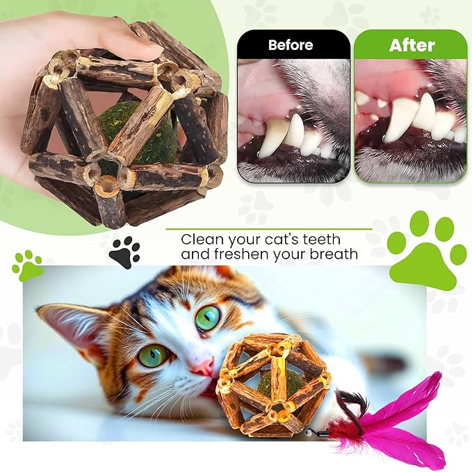 Natural Silvervine Catnip Ball, Feather and Bell Attached, for Indoor Cats, Cleaning Teeth Matatabi Cat Chew Toy. All Kitten Breeds.