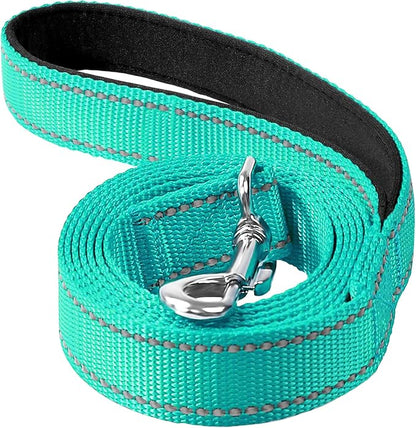 Reflective Dog Leash 4ft Soft Padded Handle Nylon Lead for Small & Medium Dogs, Durable Walking Training Leash for Night Safety (Turquoise,1Inch Wide)