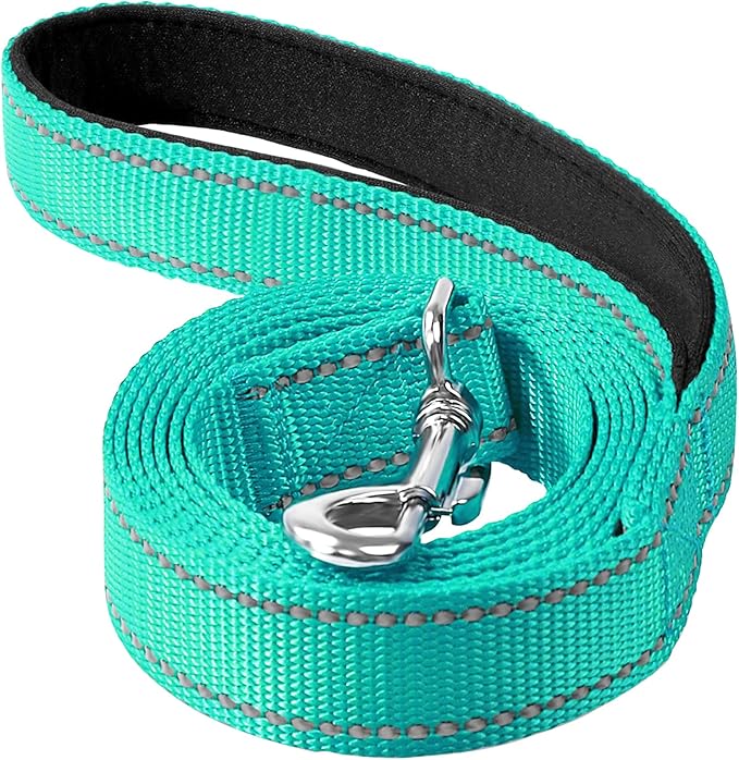 Reflective Dog Leash 6ft Soft Padded Handle Nylon Lead for Medium & Large Dogs, Durable Walking Training Leash for Night Safety (Turquoise,1Inch Wide)