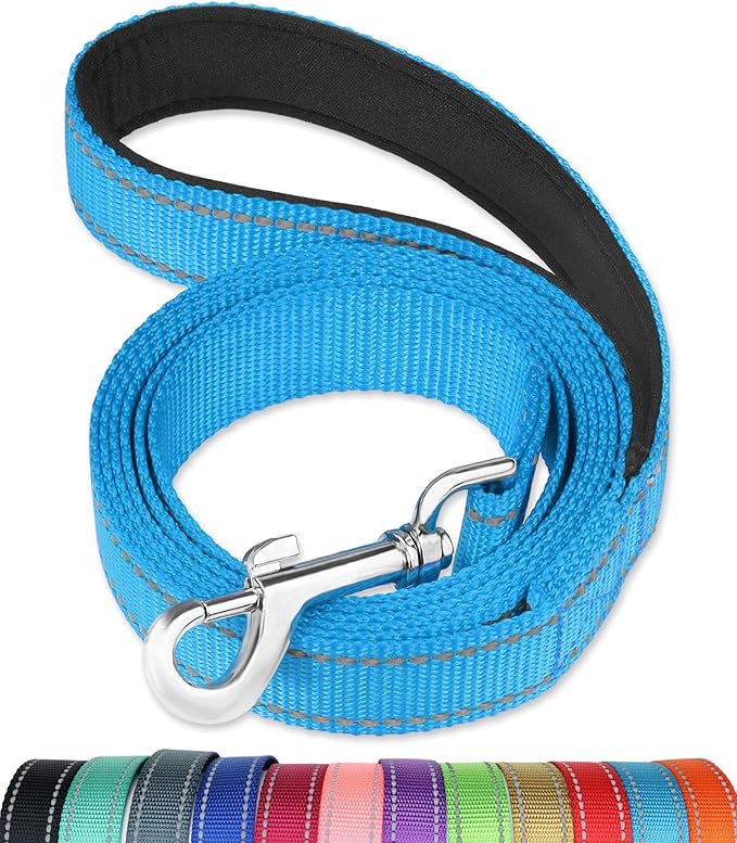 FunTags 4FT Reflective Dog Leash with Soft Padded Handle for Training,Walking Lead for Large & Medium Dog,1 Inch Wide,SkyBlue