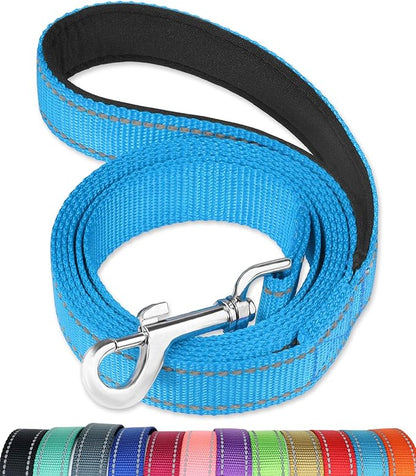 FunTags 4FT Reflective Dog Leash with Soft Padded Handle for Training,Walking Lead for Large & Medium Dog,1 Inch Wide,SkyBlue