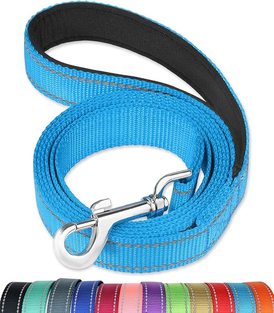 FunTags 6FT Reflective Dog Leash with Soft Padded Handle for Training,Walking Lead for Medium & Small Dogs,3/4 Inch Wide,SkyBlue