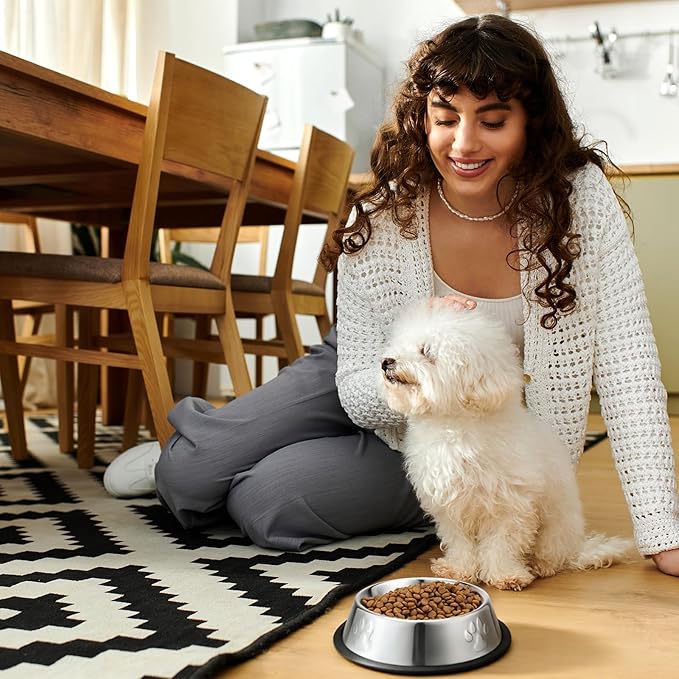 10 Pcs Small Dishes for Dogs Metal Dog Bowls No Slip Puppy Bowl Stainless Steel Dogs Food and Water Bowls with Rubber Base Bottom Pet Feeding Dishes for Cats