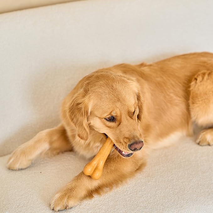 SPOT Bam-Bones Plus Dino Bone - Bamboo Fiber & Nylon, Durable Long Lasting Dog Chew for Aggressive Chewers – Great Toy for Dogs Under 90lbs, Non-Splintering, 7.25in Peanut Butter Flavor Allergen Free