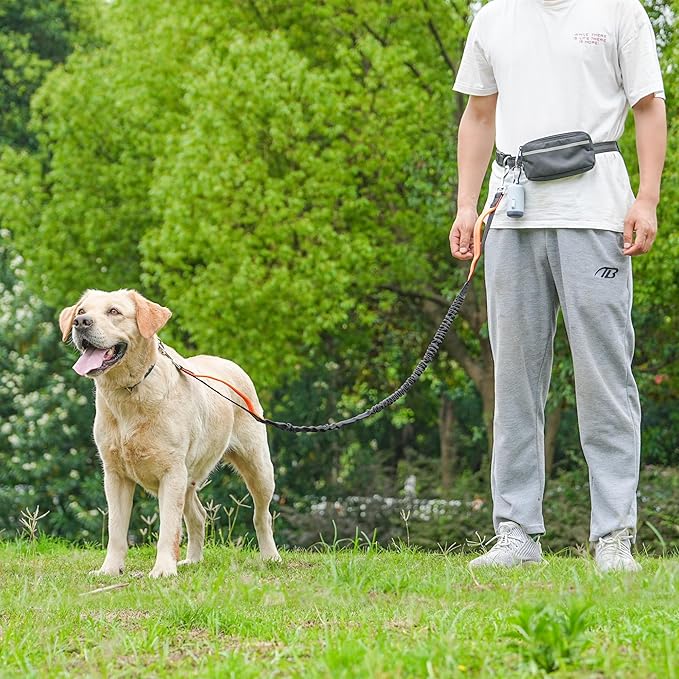Hands-Free Dog Leash for Dogs up to 130 lbs – Heavy-Duty, Shock-Absorbing Bungee Leash with Zipper Pouch, Dual Padded Handles & Adjustable Waist Belt for Running & Walking – Bright Orange
