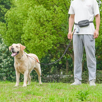 Hands-Free Dog Leash for Dogs up to 130 lbs – Heavy-Duty, Shock-Absorbing Bungee Leash with Zipper Pouch, Dual Padded Handles & Adjustable Waist Belt for Running & Walking – Bright Orange