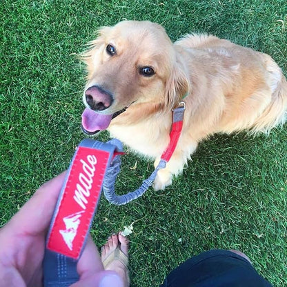 Mountain Made Pets Hands Free or Hands On Retractable Dog Leash