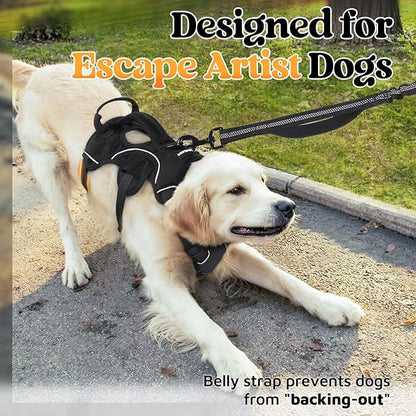 rabbitgoo Escape Proof Dog Harness, Soft Padded Full Body Pet Harness, Reflective Adjustable No Pull Vest with Lift Handle and Leash Clip for Large Dogs Walking Hiking Training, M, Black