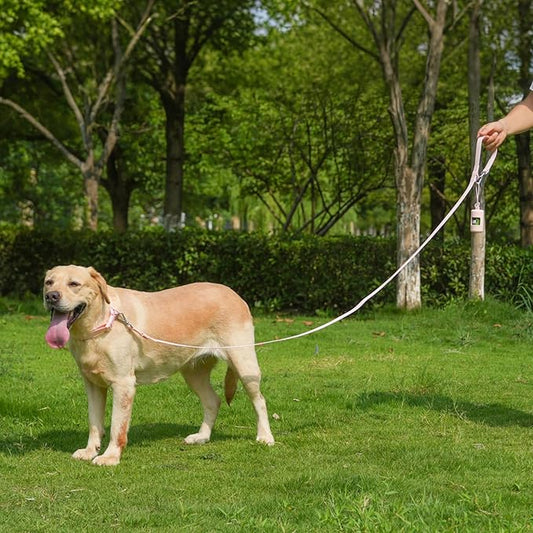Waterproof Dog Leash with Poop Bag Holder, 5FT/6FT Adjustable Length with 2 Swivel Hooks, Odor-Free & Easy-Clean Dog Lead for Large Medium Small Dogs
