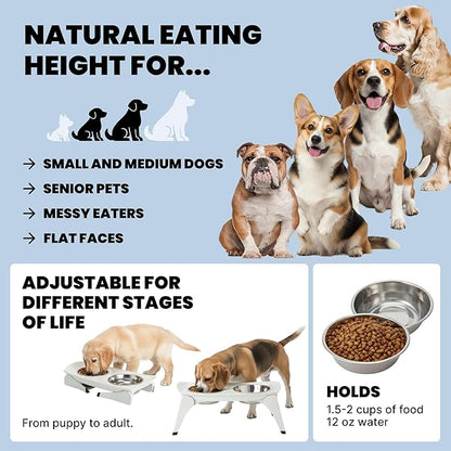 MalsiPree Elevated Dog Bowls - Puppy Adoption Gifts & Cute Puppy Accessories - Raised Feeding Station & Stainless Steel Bowls - Food and Bowls Set - Dog Birthday Gifts for Small Pets - White