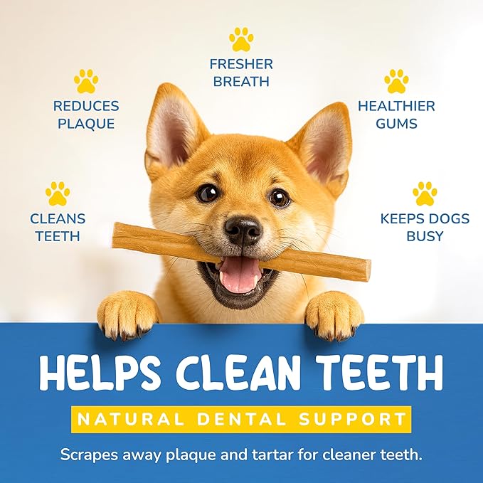 CHARLEY & ME Beef Tendons for Dogs, 100% Natural Beef Puppy Treats, Long-Lasting Dog Chew Toy for Aggressive Chewers - Nutritious Joint Support for Dogs - 6 Inches (Pack of 10)