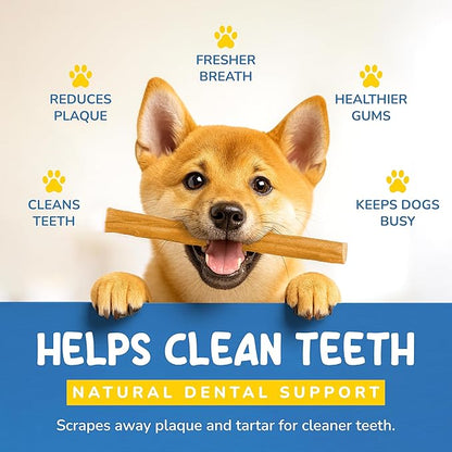 CHARLEY & ME Beef Tendons for Dogs, 100% Natural Beef Puppy Treats, Long-Lasting Dog Chew Toy for Aggressive Chewers - Nutritious Joint Support for Dogs - 6 Inches (Pack of 10)