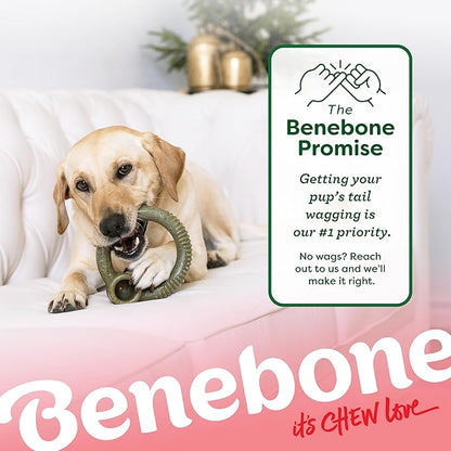 Benebone Peppermint Ring – Limited Edition Holiday Flavor, Durable Chew Toy for Aggressive Chewers, Made in USA, Large
