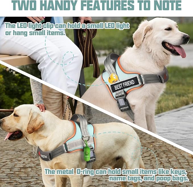 AUROTH Dog Harness and Leash Set, Soft Padded Service Dog Vest with 5.25FT Dog Leash, No Choke, Easy On Pet Vest, Adjustable Reflective No Pull Dog Harness Small Sized Dog, Easy Walking and Training