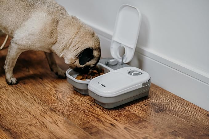 Cat Mate C200 Automatic 2 Meal Timer-Controlled Pet Feeder (401) - for Cats and Small Dogs, Includes Ice Pack for Wet and Dry Food, Meals up to 14 oz Each, White