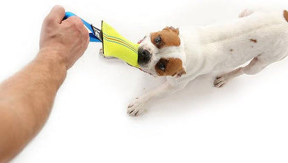 Dog Bite Tug Toy 12 inches - Durable, Interactive Toys for Medium to Large Dogs - Perfect for Tug of War, Fetch & Puppy Training - Safe Fire Hose Dog Tug with Strong Handle - Tough Floating Pull Toy