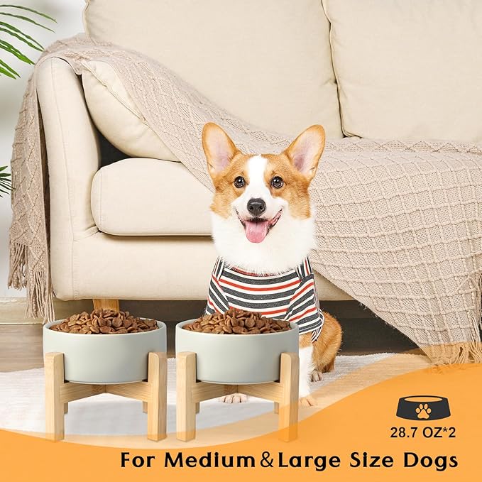 SPUNKYJUNKY Ceramic Elevated Dog Bowls 2 Pack - 6.1inch Raised Dog Bowls with Non-Slip Wooden Stand for Medium Dogs Dishwasher Safe(Grey,28.7OZ*2)