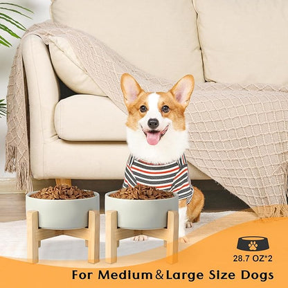 SPUNKYJUNKY Ceramic Elevated Dog Bowls 2 Pack - 6.1inch Raised Dog Bowls with Non-Slip Wooden Stand for Medium Dogs Dishwasher Safe(Grey,28.7OZ*2)