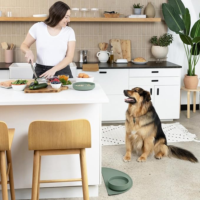 Should We Go? Dog Water Bowl - The Perfect Dish No-Spill Less Mess Non-Tippable Water & Food Bowl, Pure Silicone with Suction Cup Fits 5 Cups 7.5" Across x 2.25" Tall Ideal for All Pets, Medium-Spruce