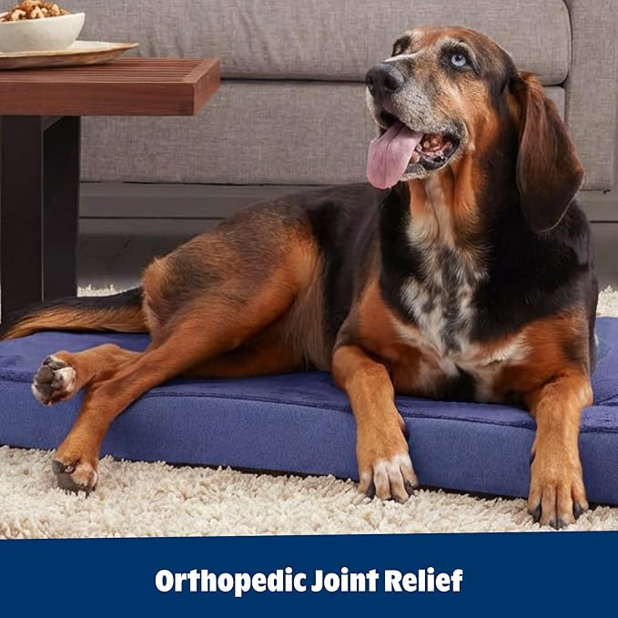 Barkbox Orthopedic Dog Bed with Memory Foam - Comfortable, Durable & Machine Washable Pet Bed - XL - Navy