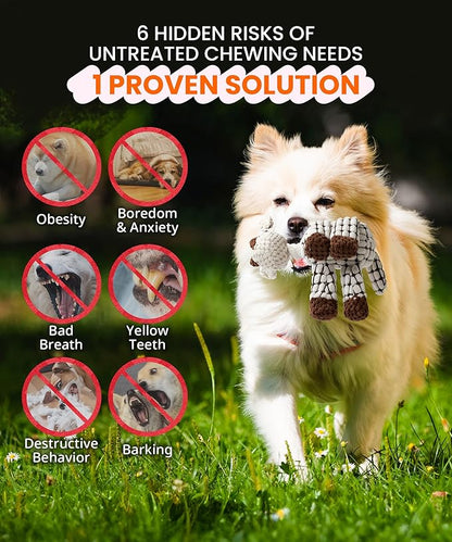 Squeaky Plush Dog Toys - Adorable Animal Designs with Soft Cotton Filling, Cute Stuffed Dog Chew Toys for Small, Medium Non-Aggressive Chewing Dogs Chewer (White - Giraffe/Lamb)