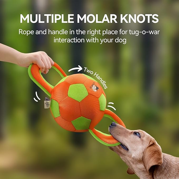 ALL FOR PAWS Dog Ball with Handles, Dog Toy with Squeaker, Interactive Tug of War Ball Toy for Medium and Large Dogs,15.7 x 7.9 x 7.9 Inch