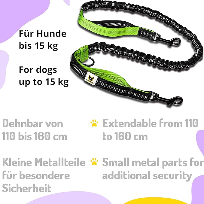 Hundefreund Hands-Free Leash for Small Dogs Under 30 lbs – Lightweight Waist Leash with Soft Bungee (43–63"), Padded Belt (26–47") & Pouch – Dual Handles, Reflective Stitching for Walking & Jogging