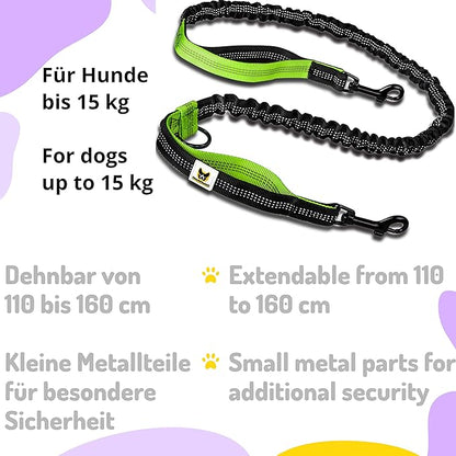 Hundefreund Hands-Free Leash for Small Dogs Under 30 lbs – Lightweight Waist Leash with Soft Bungee (43–63"), Padded Belt (26–47") & Pouch – Dual Handles, Reflective Stitching for Walking & Jogging