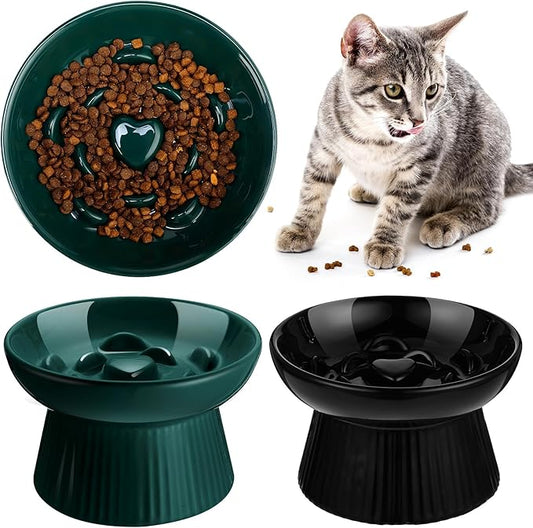 Tioncy 2 Pcs Raised Cat Slow Feeder Bowl Ceramic Elevated Cat Dog Food Bowl No Spill High Edge for Dry Wet Food and Water Easy to Clean, Dishwasher Safe (Dark Green,Black)