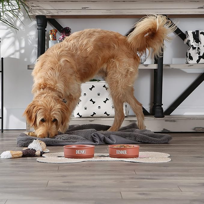 Bone Dry Ceramic Pet Bowls for Dogs & Cats Dishwasher & Microwave Safe, Non-Slip Bottom for Secure Feeding with Less Mess, Medium Set, 6x2, Terra Cotta, 2 Count